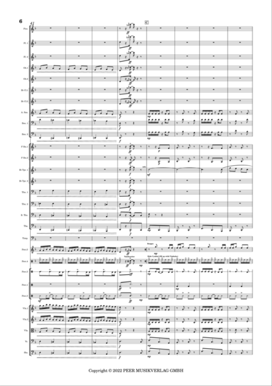 Conga Del Fuego Nuevo Full Orchestra scores gallery preview page 6
