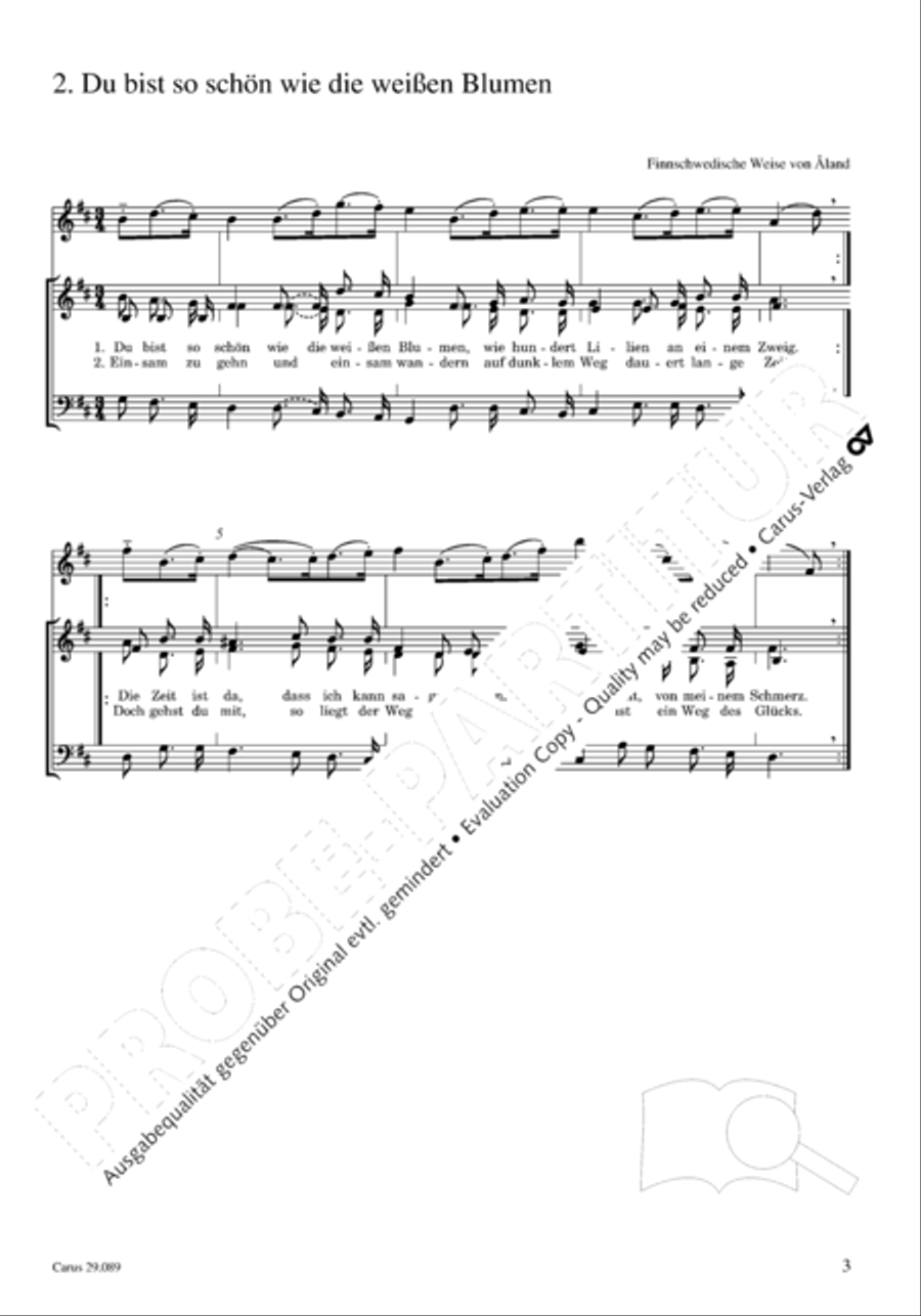 Drei schwedische Volkslieder Choir scores gallery preview page 4