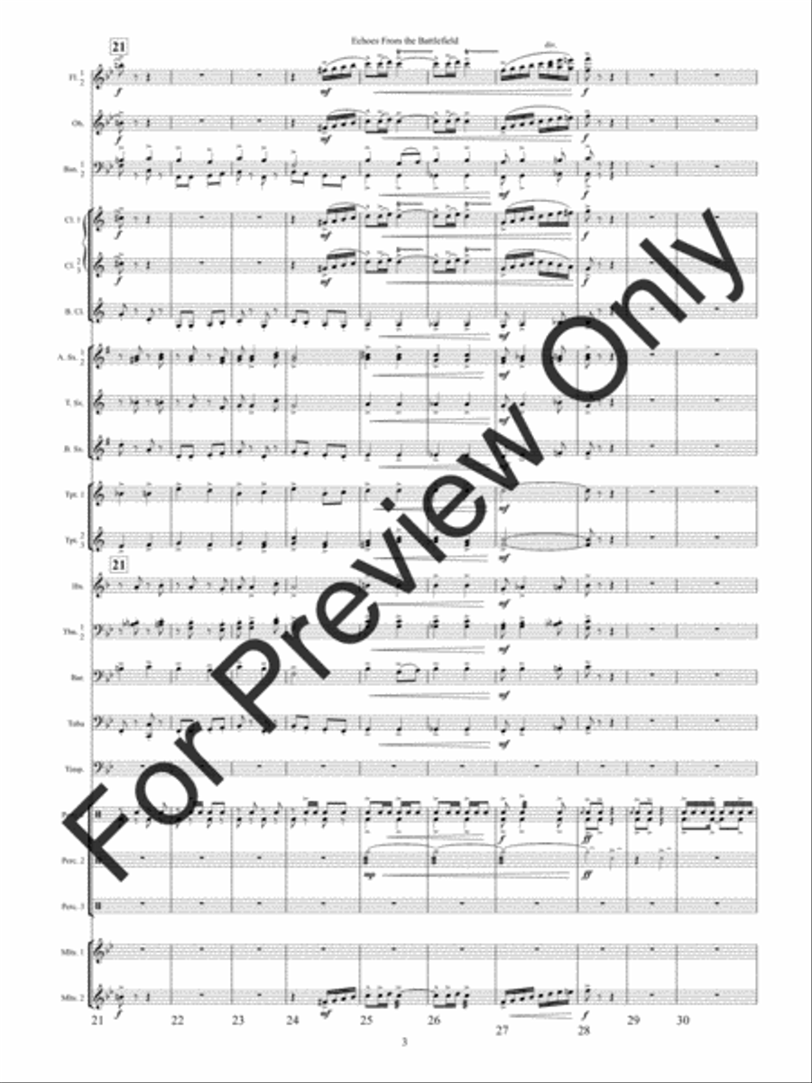 Echoes from the Battlefield (Score) Concert Band scores gallery preview page 6