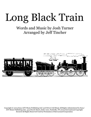 Book cover for Long Black Train