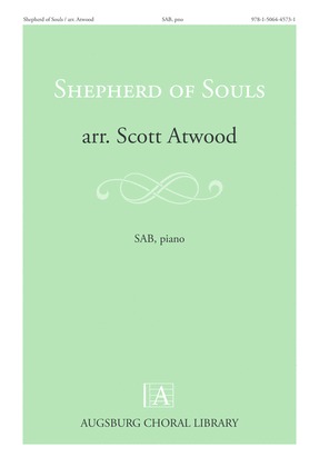 Book cover for Shepherd of Souls