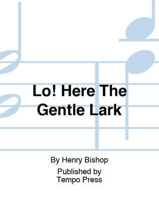 Book cover for Lo! Here The Gentle Lark