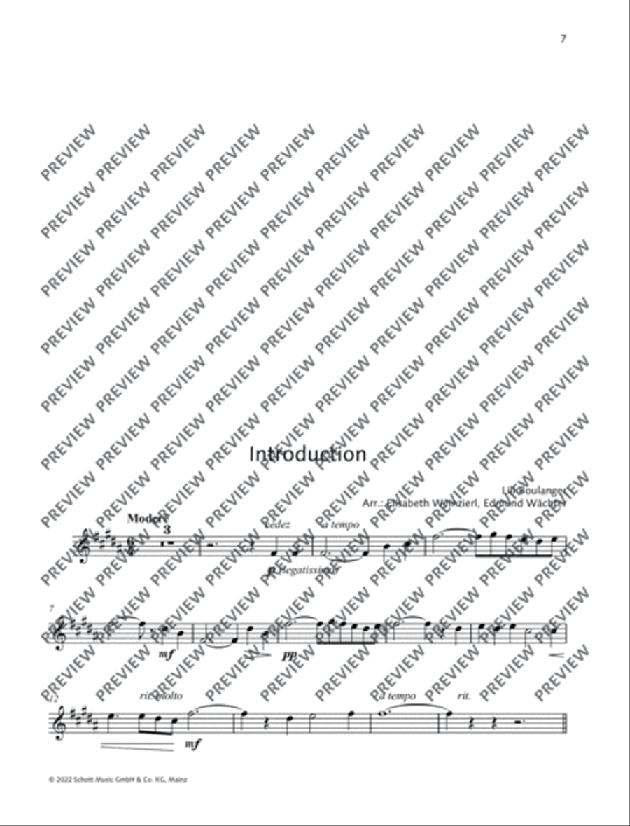 Introduction – Cortège Introduction – Cortège Flute Solo scores gallery preview page 9