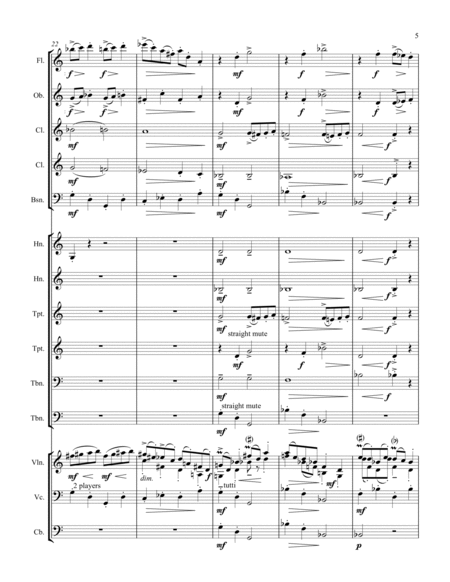 Suite for Violin and Chamber Orchestra Movement 1