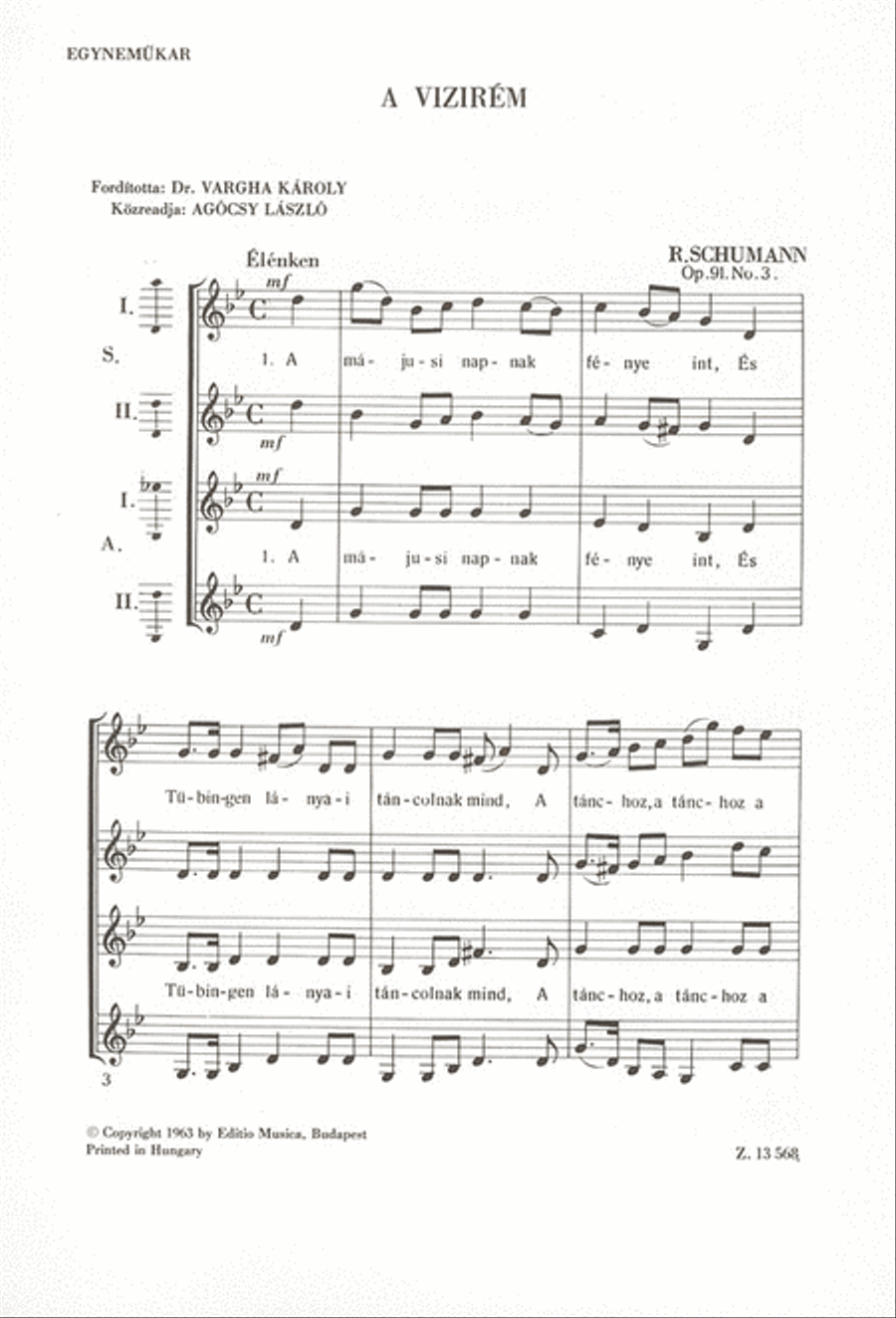 A vizirém SSAA scores gallery preview page 1