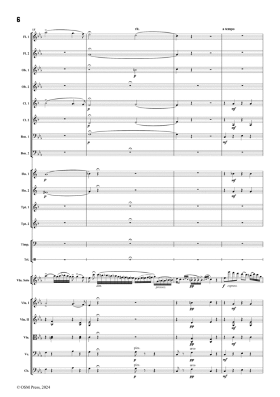 Sarasate-Zigeunerweisen(Gypsy Airs),Op.20,for Violin and Orchestra String Orchestra scores gallery preview page 6