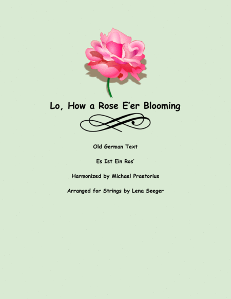 Lo, How a Rose E'er Blooming