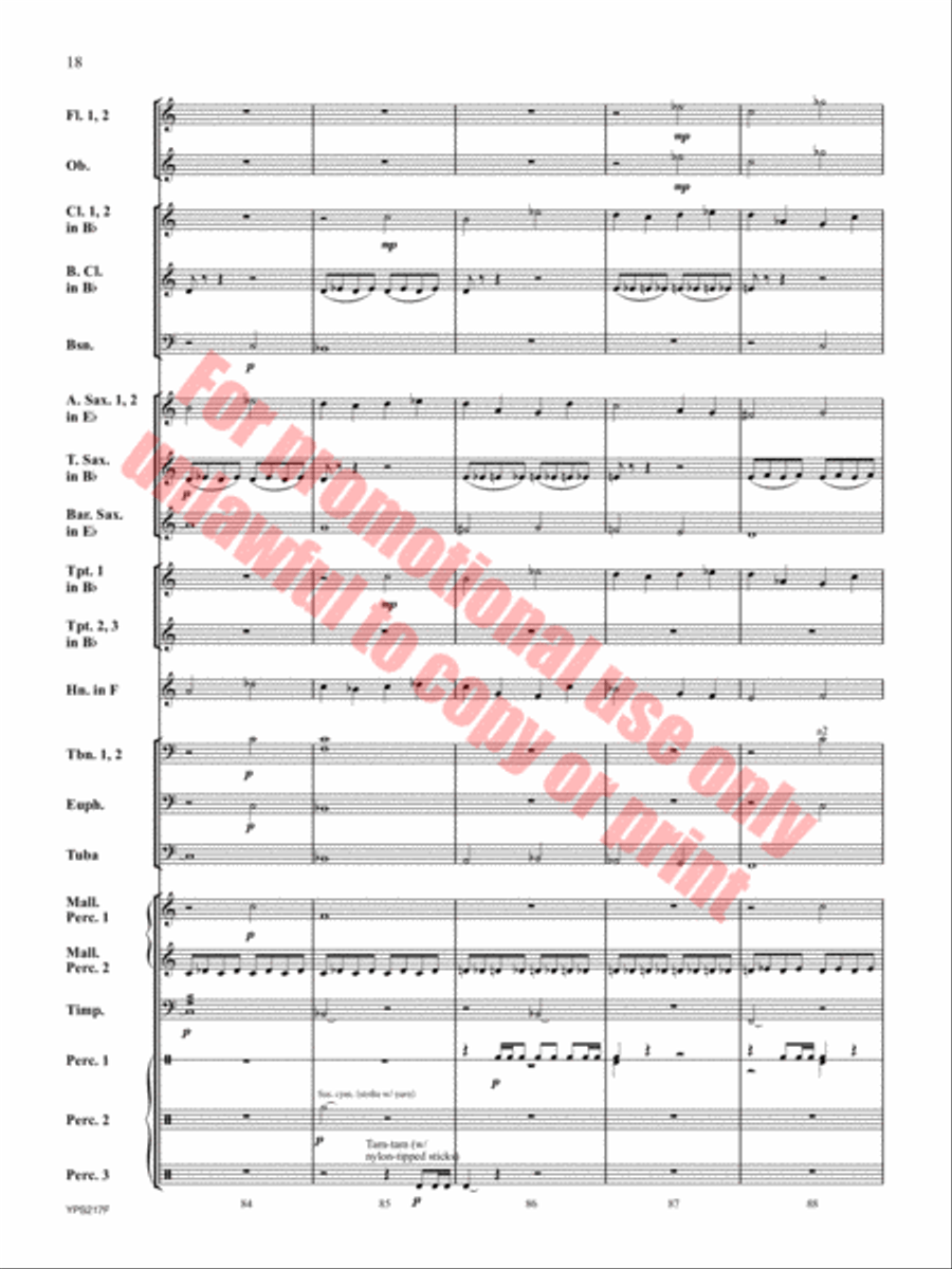 Hope Remains Within Concert Band scores gallery preview page 19