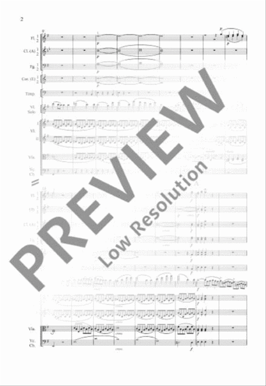 Concerto E minor Orchestra scores gallery preview page 9