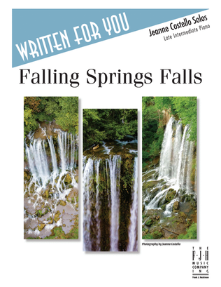 Book cover for Falling Springs Falls