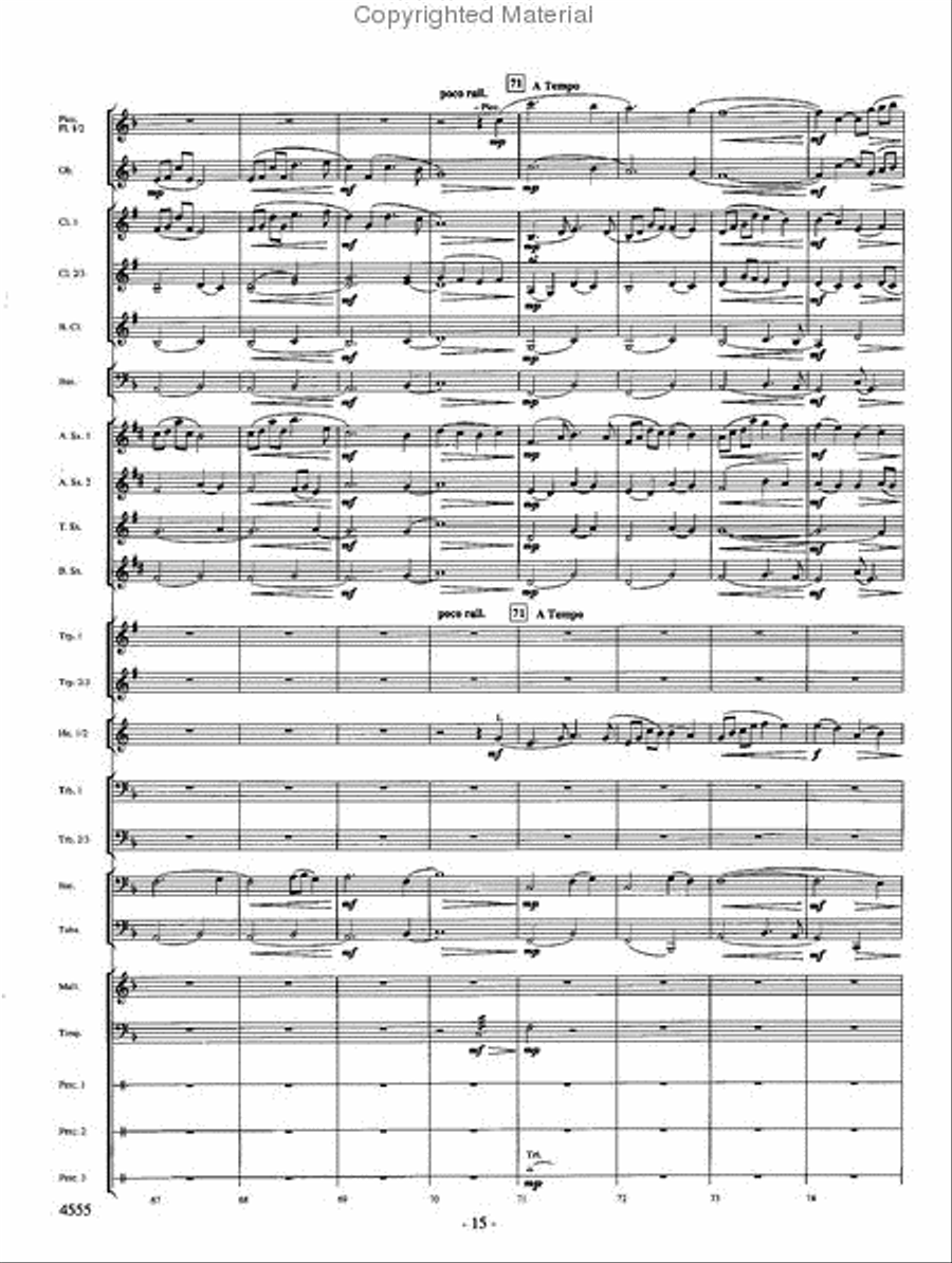 Beyond the Higher Skies Concert Band scores gallery preview page 14
