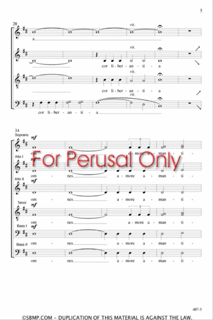 Musica animam tangens - SATB Octavo image number null