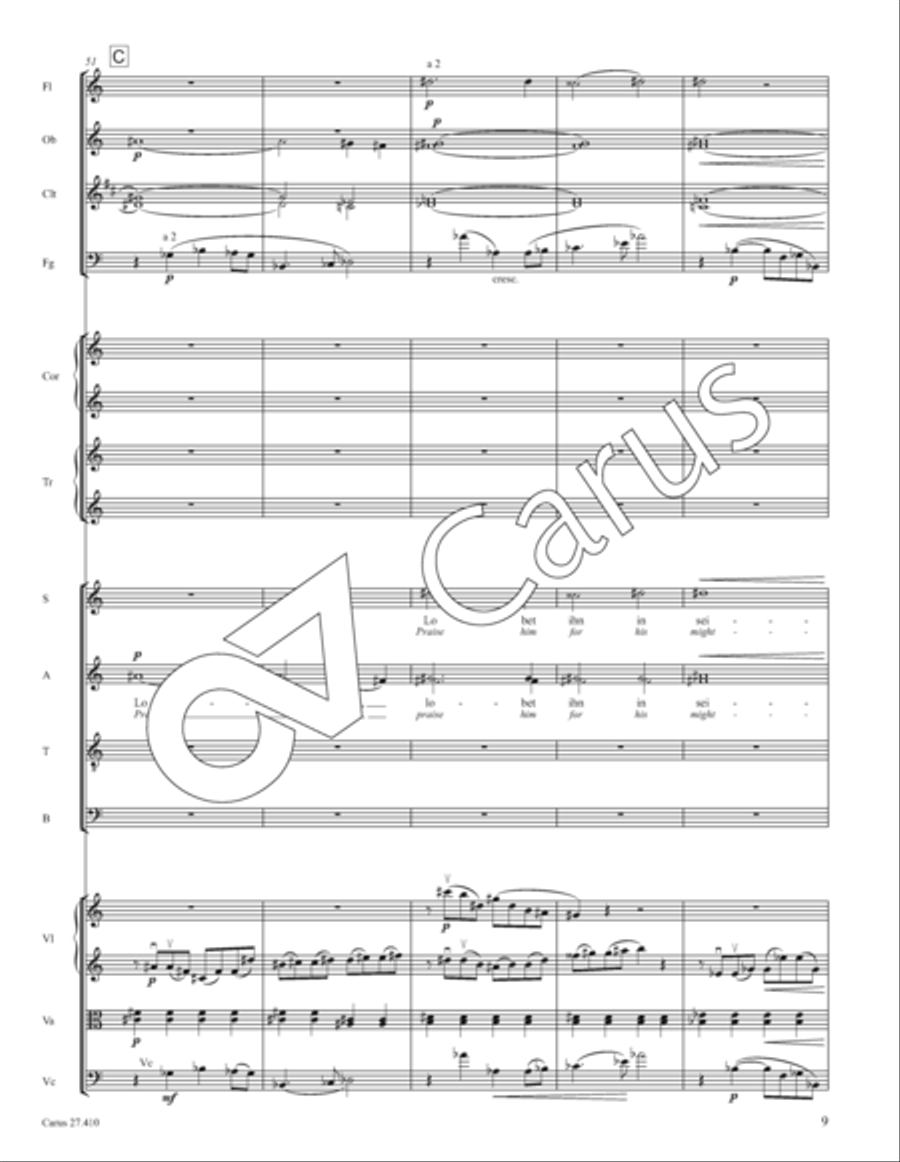 Psalm 150: Halleluja! Lobet den Herrn in seinem Heiligtum Orchestra scores gallery preview page 14