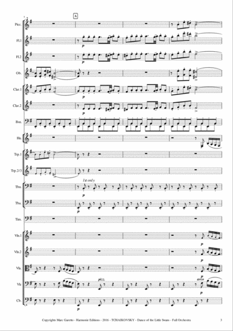 Dance of the Little Swans from SWAN LAKE - Tcha String Orchestra scores gallery preview page 3