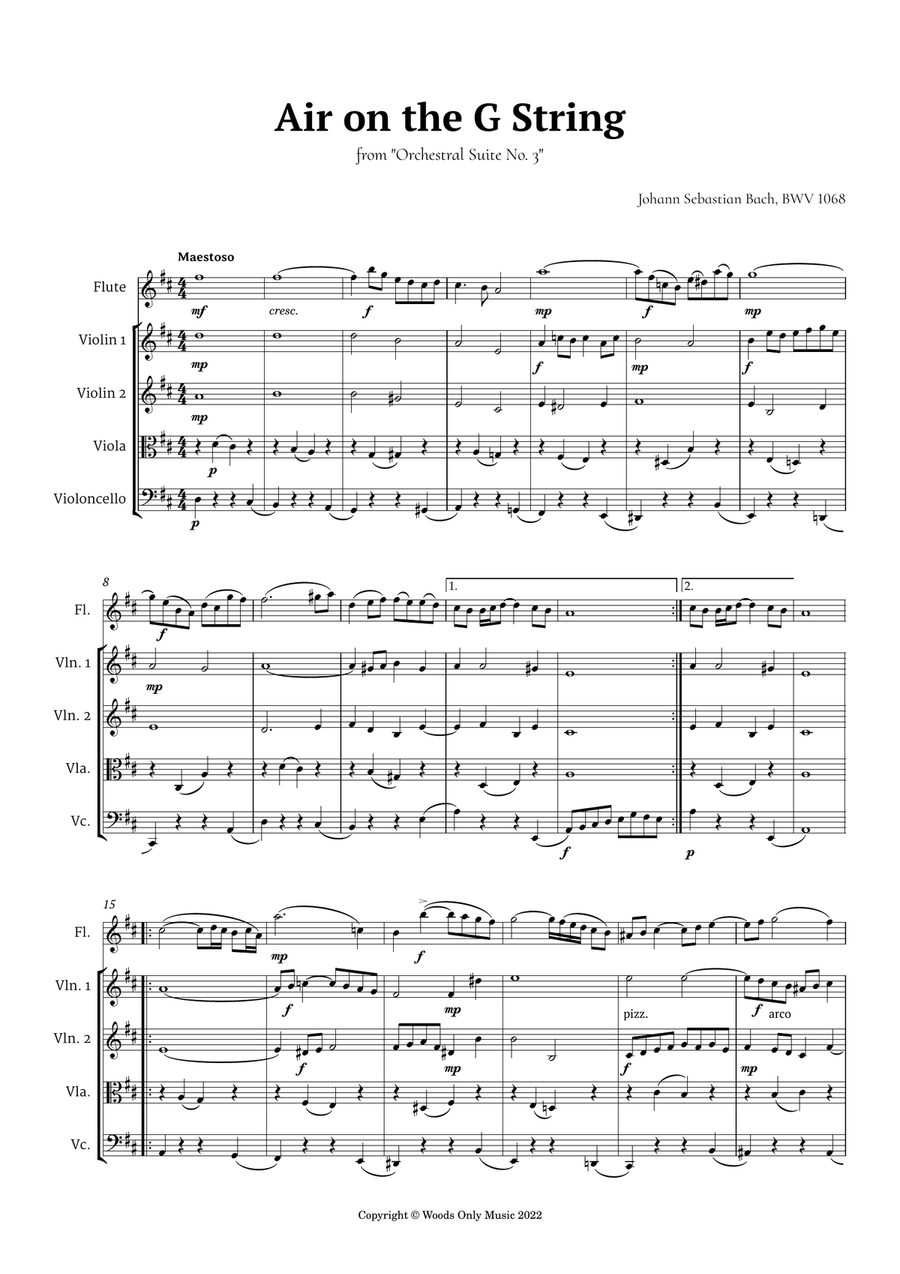 Air on the G String by Bach for Flute and Strings Small Ensemble scores gallery preview page 2