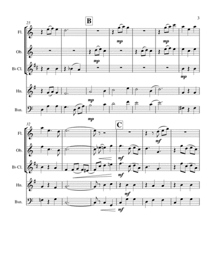 The Penguin Waltz: Wind Quintet image number null