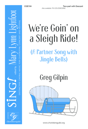 Book cover for We're Goin' on a Sleigh Ride!