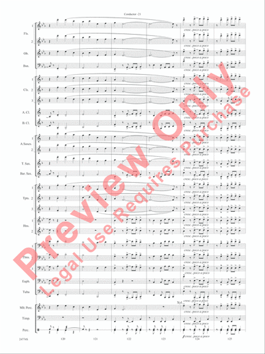 The Magnificent Seven Concert Band scores gallery preview page 24