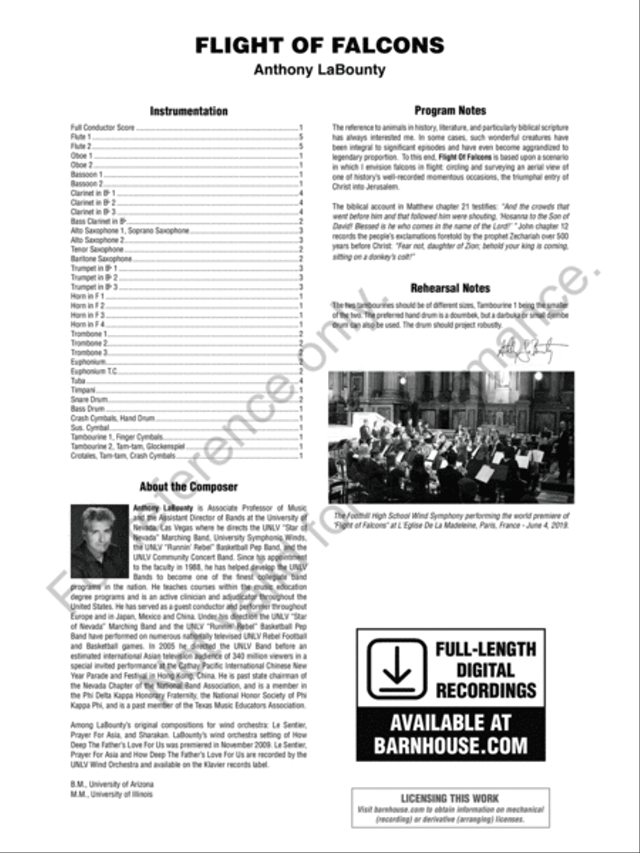 Flight Of Falcons Concert Band scores gallery preview page 3