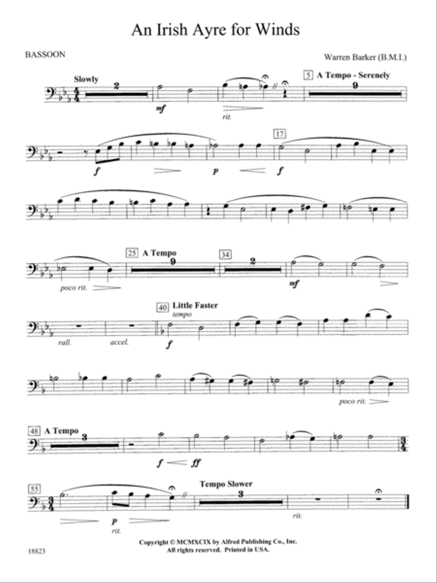 Irish Ayre for Winds: Bassoon Concert Band scores gallery preview page 1