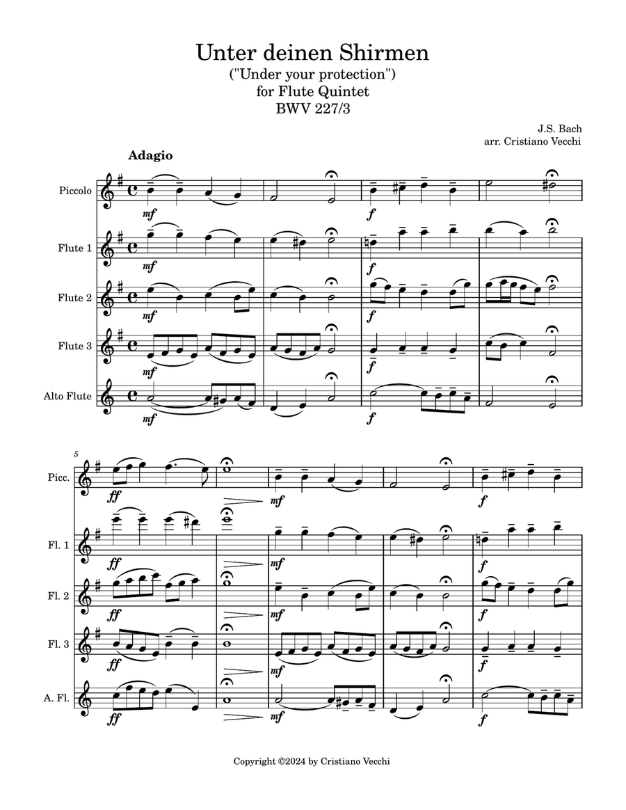 Book cover for "Unter deinen Shirmen" for Flute Quintet