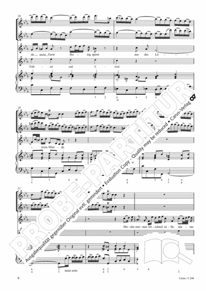 Flauto e voce XI
