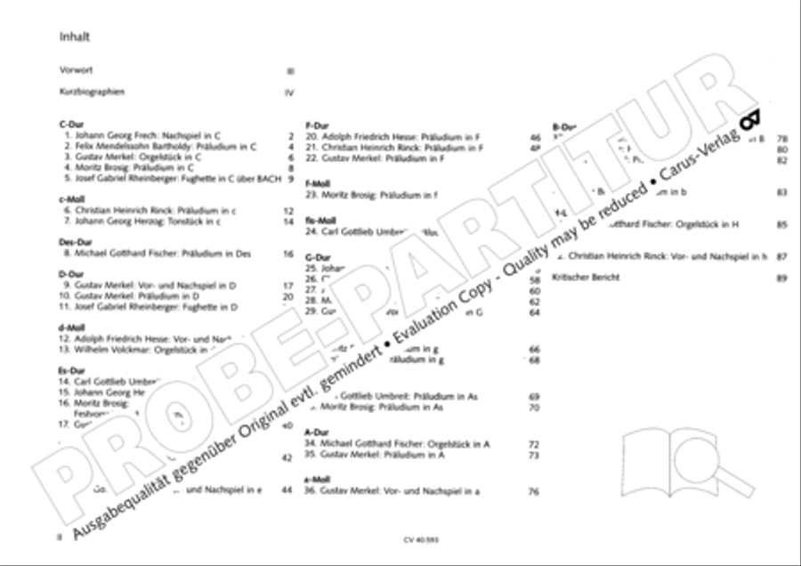 Free Organ Music from the Romantic Period, Vol. I (Freie Orgelmusik der Romantik, Band I) Organ scores gallery preview page 3