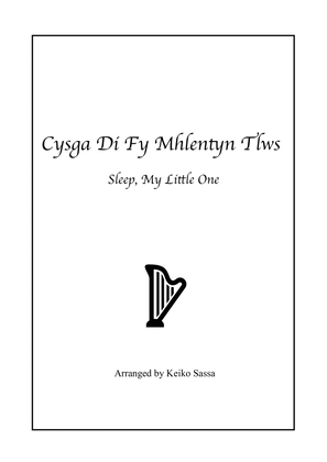 Book cover for Cysga Di Fy Mhlentyn Tlws (Sleep, My Little One)