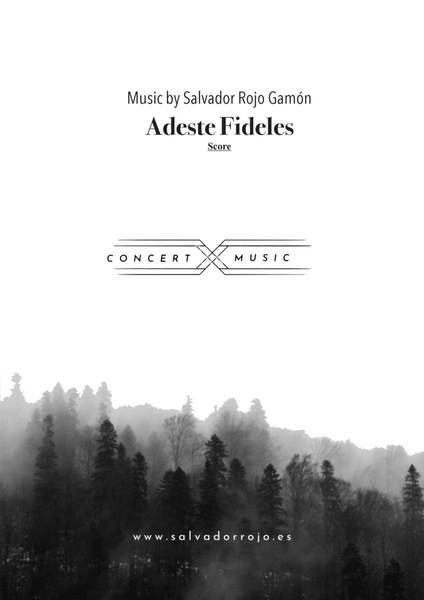 Adeste Fideles for Strings Orchestra image number null
