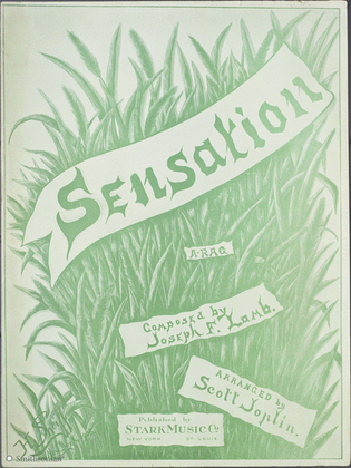 Sensation (A Rag)