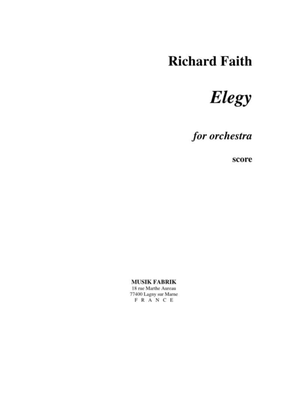 Book cover for Elegy for orchestra