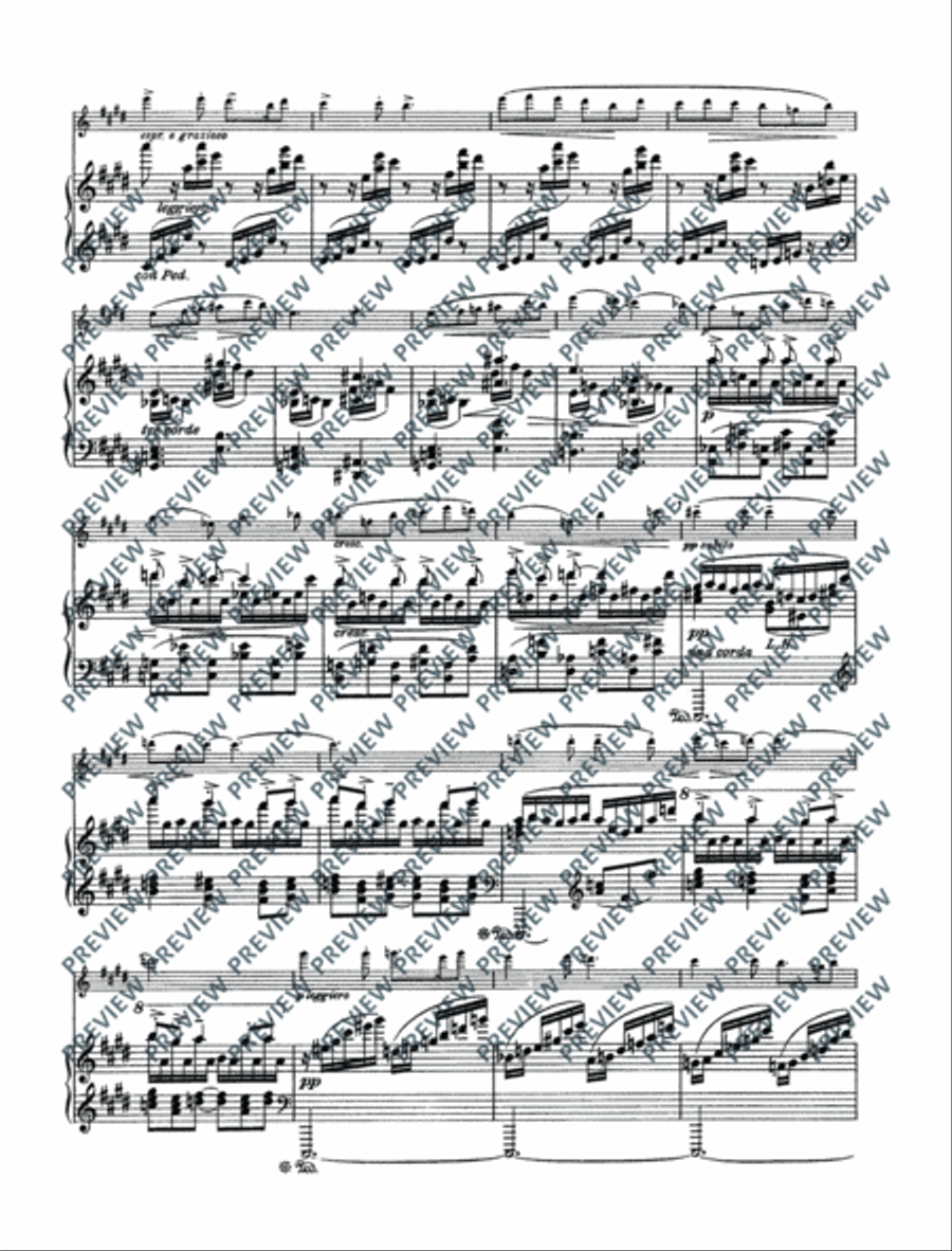 Variations on a theme by Edvard Grieg Flute Solo scores gallery preview page 8