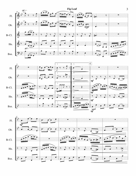 Fig Leaf Rag (Scott Joplin) - woodwind quintet image number null