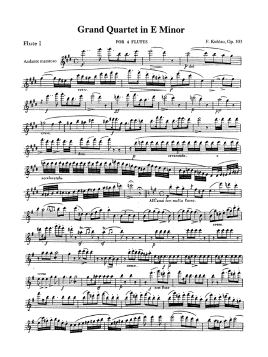 Grand Quartet in E Minor, Op. 103 Flute Quartet scores gallery preview page 3