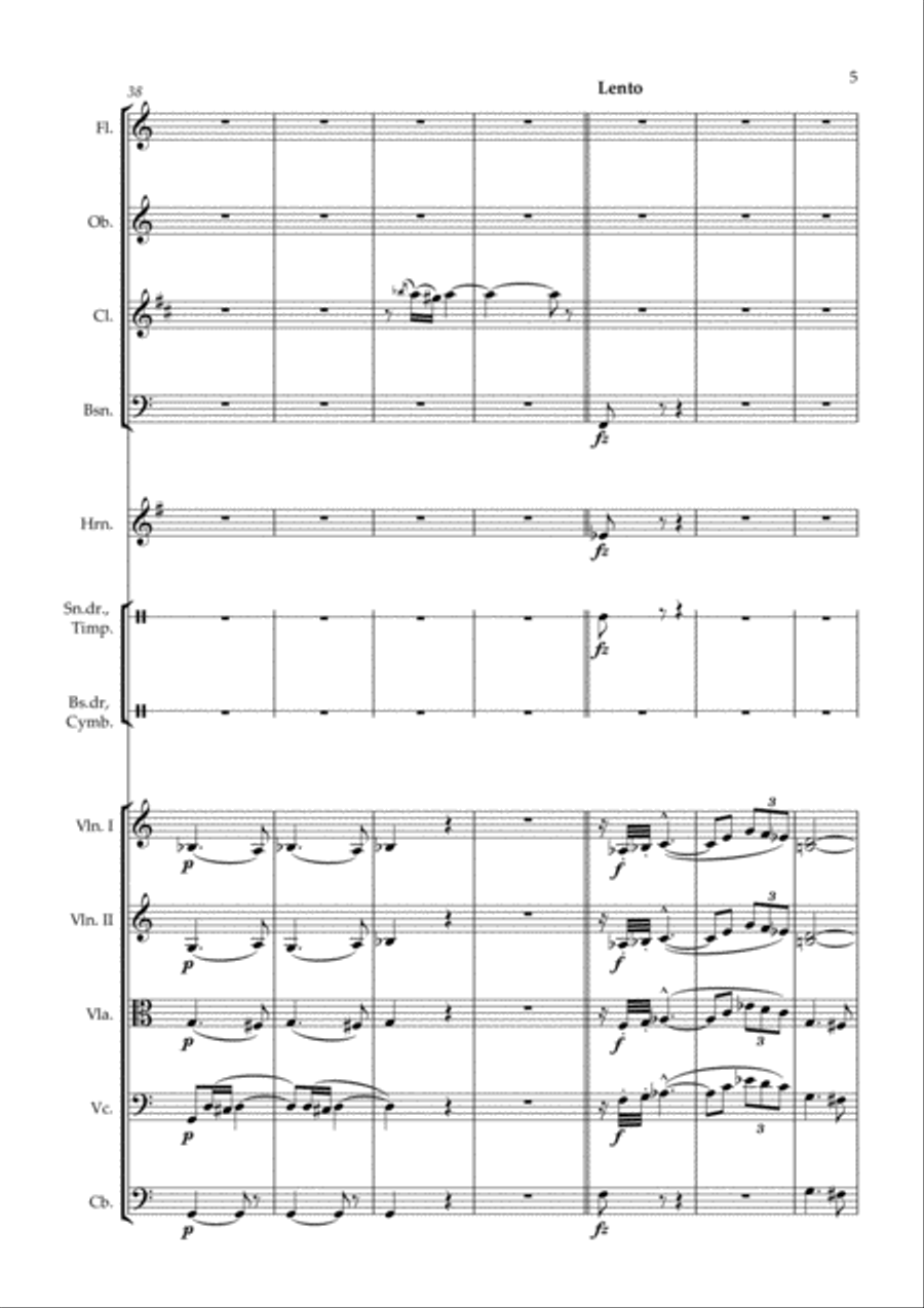 Der Zigeunerbaron Ouverture - arr. for chamber orchestra Chamber Orchestra scores gallery preview page 5