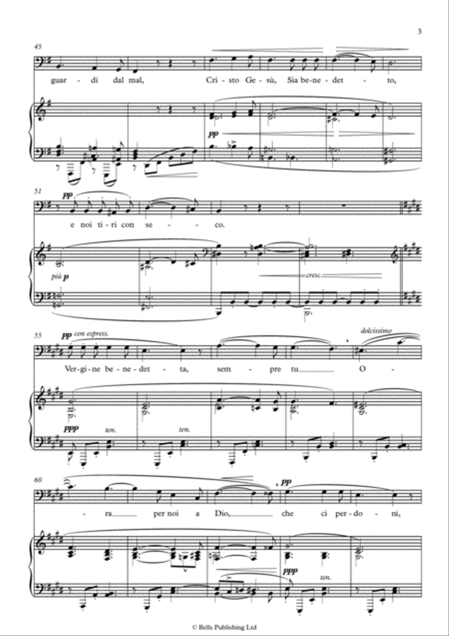Ave Maria (1879) (E minor) Voice Solo scores gallery preview page 3