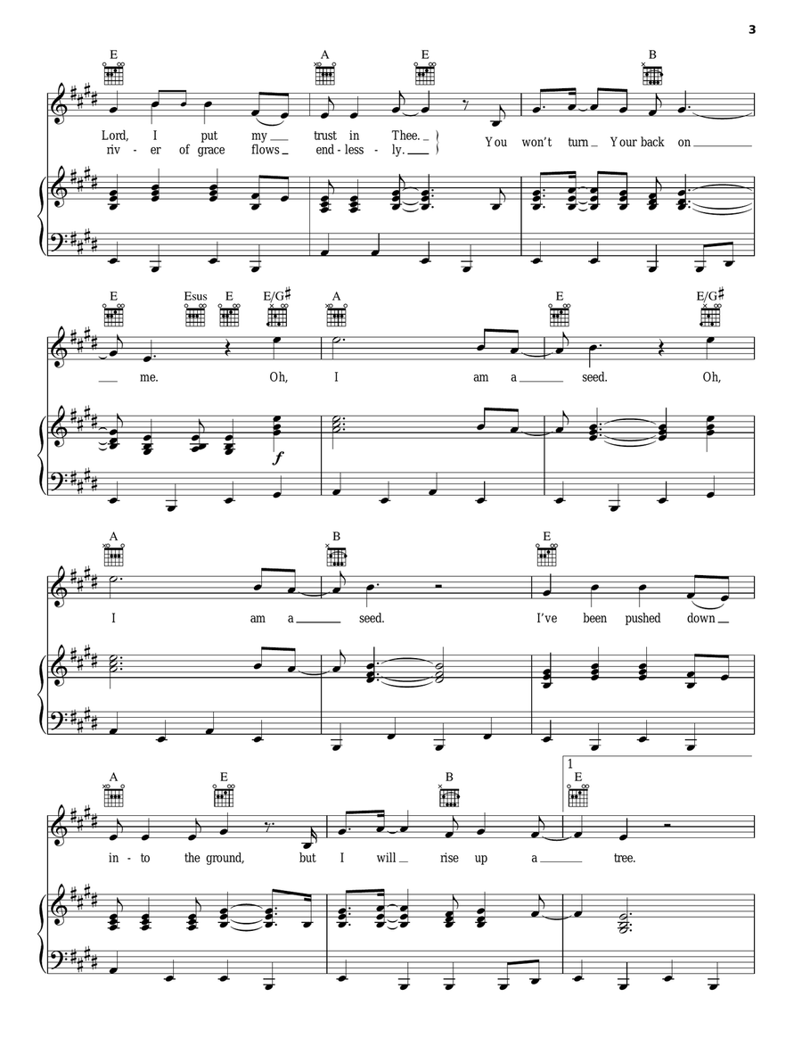 I Am A Seed I Am A Seed Piano, Vocal, Guitar scores gallery preview page 3