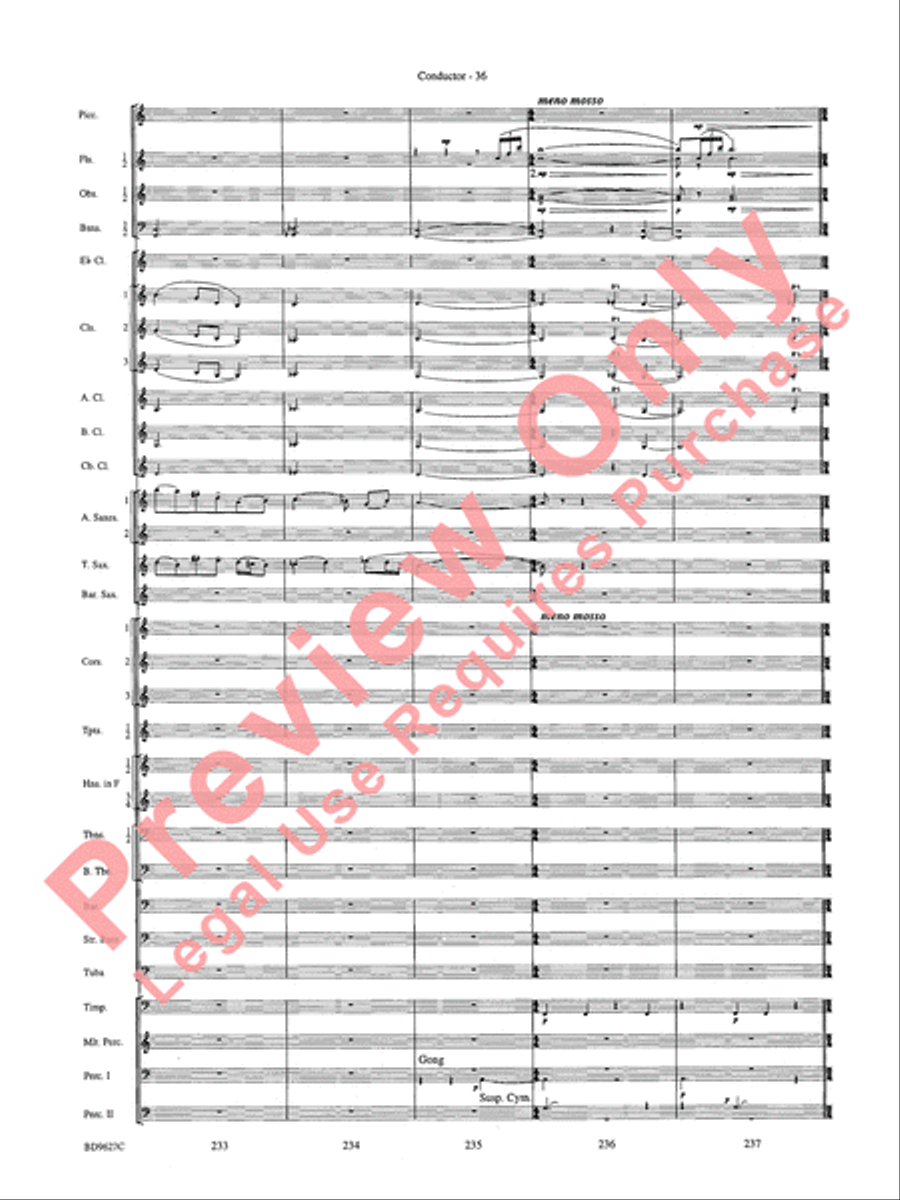 Variations on a Theme of Robert Schumann Concert Band scores gallery preview page 39