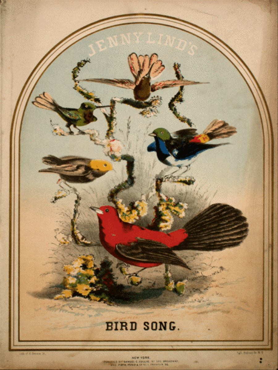 Jenny Lind's Bird Song. Swedish Song Voice scores gallery preview page 1