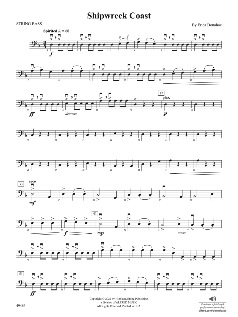 Shipwreck Coast: String Bass String Orchestra scores gallery preview page 1