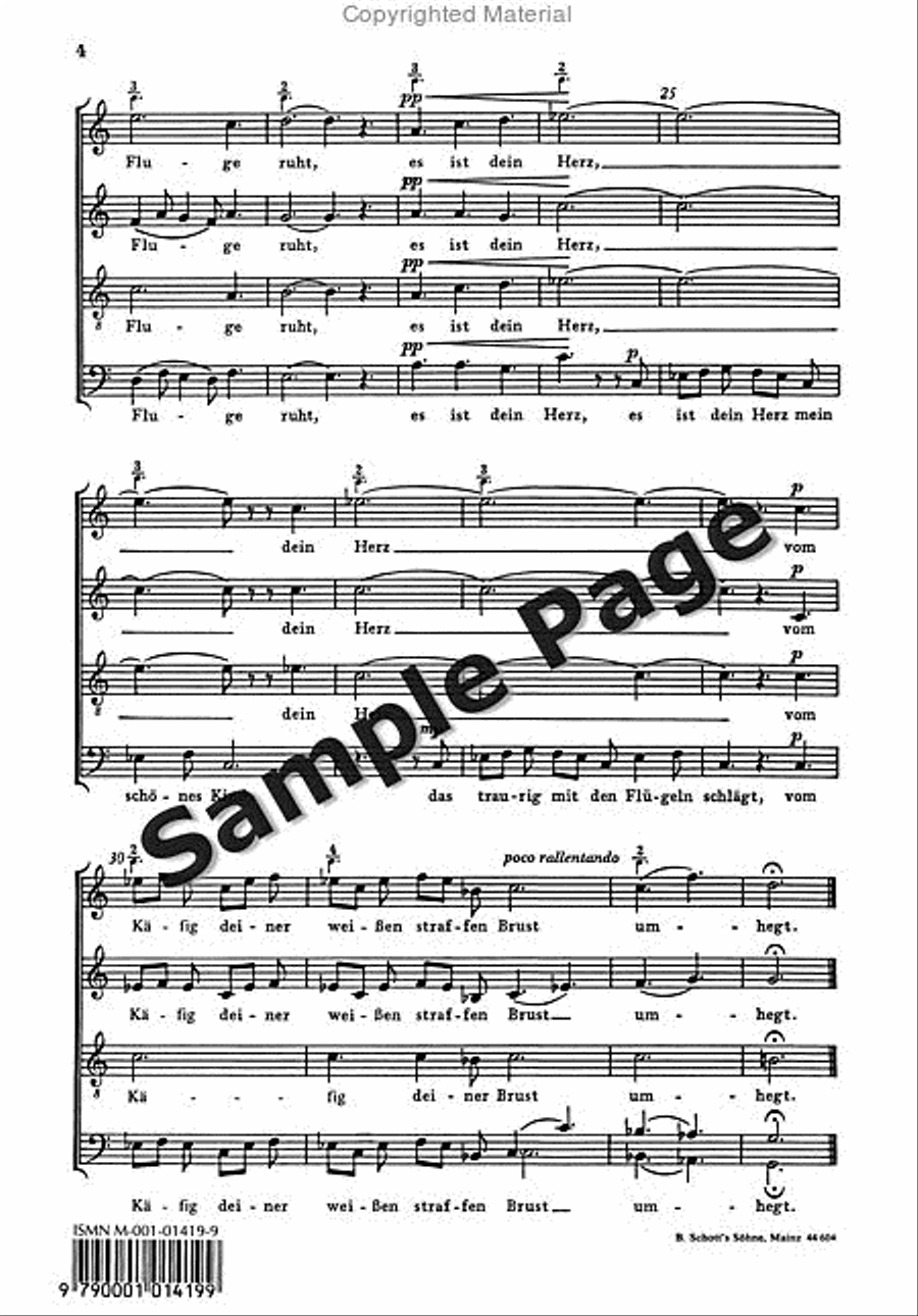 Birdcatcher's Song Birdcatcher's Song 4-Part scores gallery preview page 5