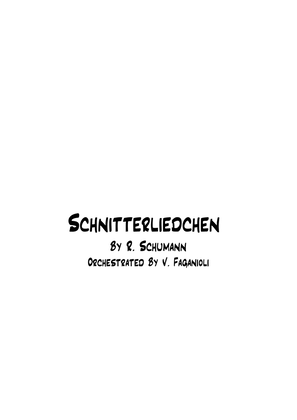 Book cover for Schnitterliedchen