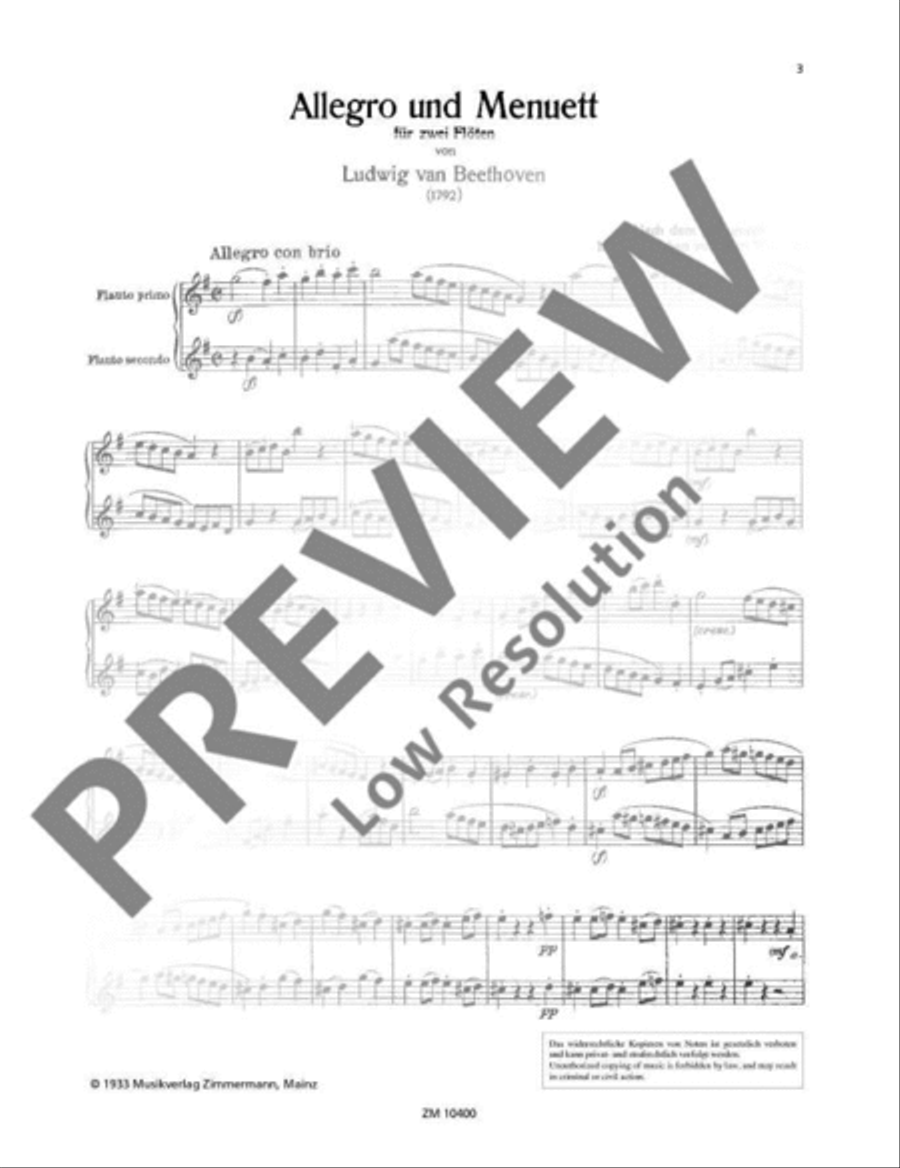 Allegro and Menuet Flute Duet scores gallery preview page 4