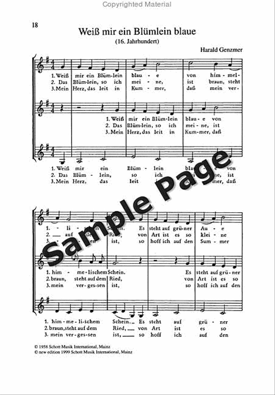 Roller Coaster Ride Piano Solo scores gallery preview page 19