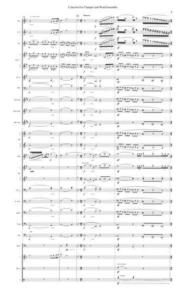 Concerto for Trumpet and Wind Ensemble - Score - Score Only image number null