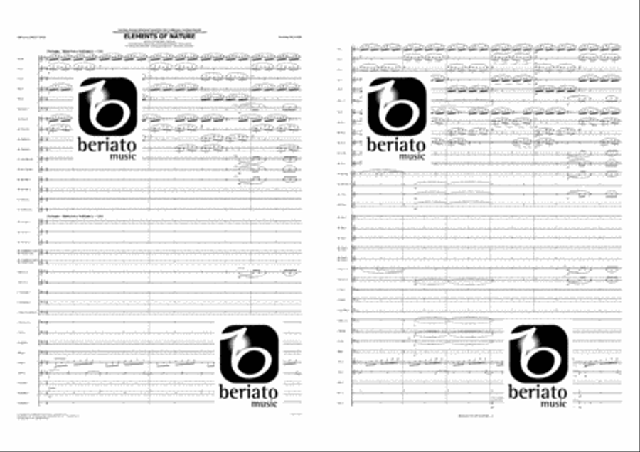 Elements of Nature Concert Band scores gallery preview page 2