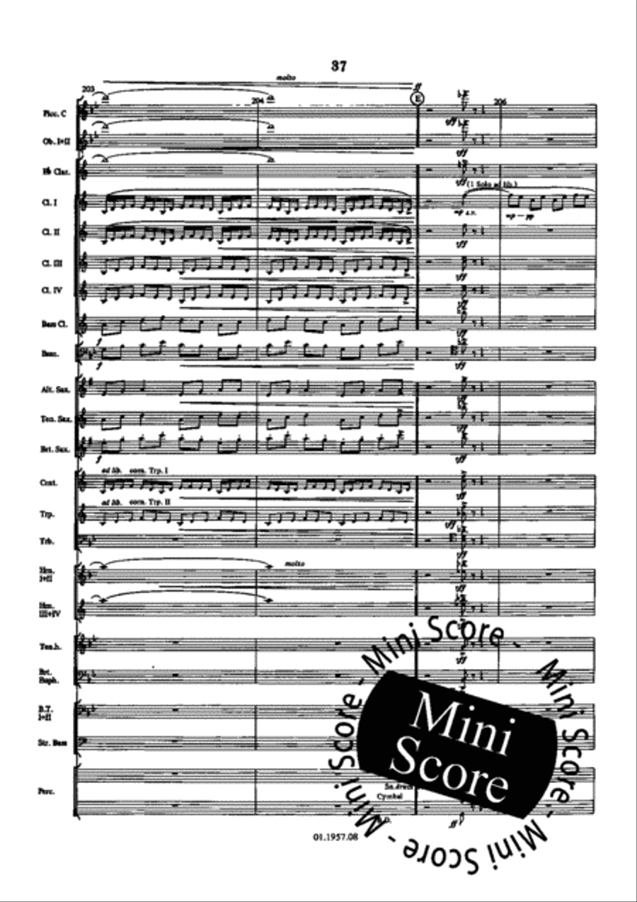 Symfonieen der Nederlanden Concert Band scores gallery preview page 41