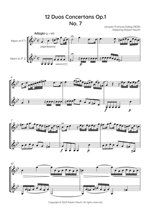 Gallay - 12 Duos Concertans Op. 1 No. 7 'Adagio' (for Horn Duet)