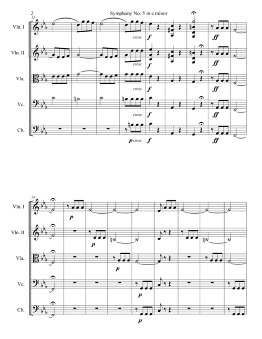 Symphony No. 5 in c minor, Movement 1