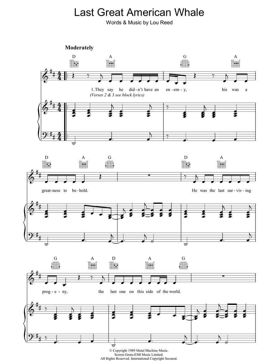 Last Great American Whale Guitar scores gallery preview page 1
